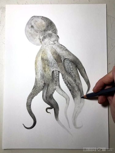 插画家分享了3d章鱼画的创作过程,教你练就湿而闪亮的外观-行业资讯-