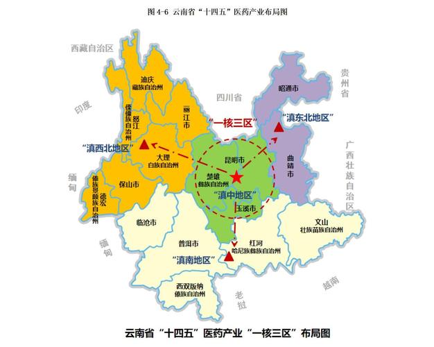 云南省十四五医药工业发展规划