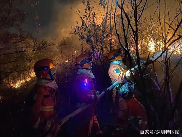 南山公园火灾原因:系人为纵火!深圳近期三起森林火灾详情公布
