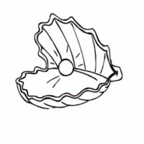 贝壳怎么画贝壳怎么画简单又漂亮