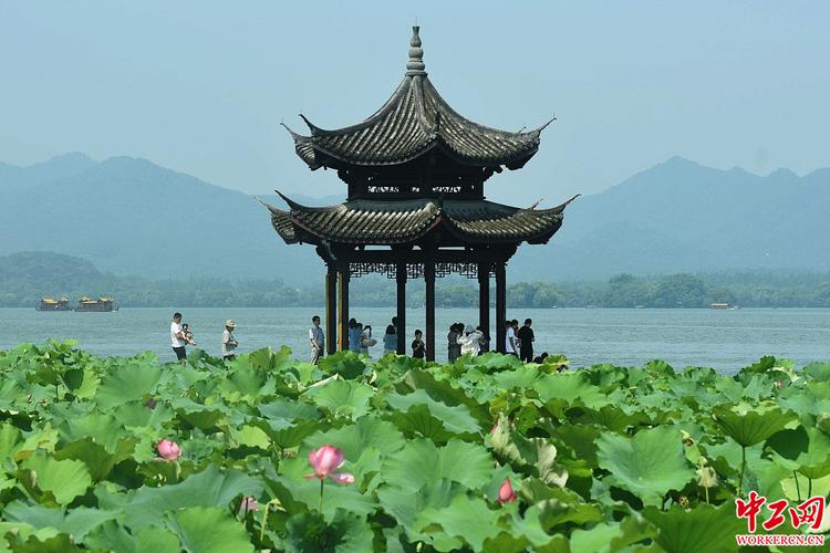 2020年7月22日,游客在杭州西湖边观赏盛开的荷花.龙巍/视觉中国