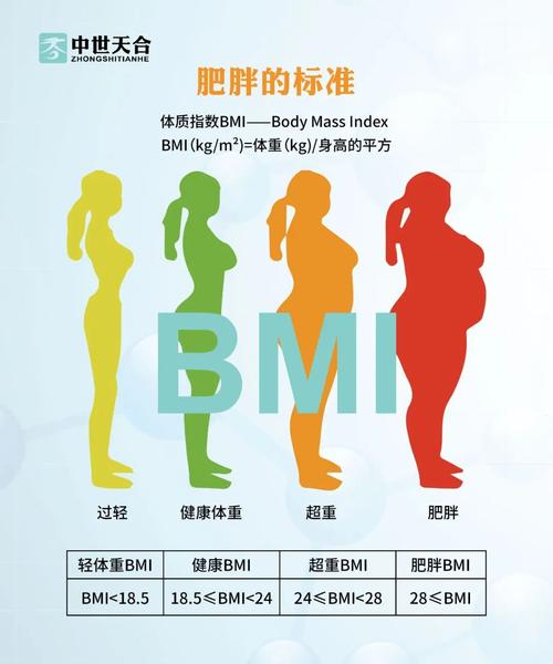 9为正常)来评价体重,用体脂率来评价体成分,用腰围,腰臀比来评价体