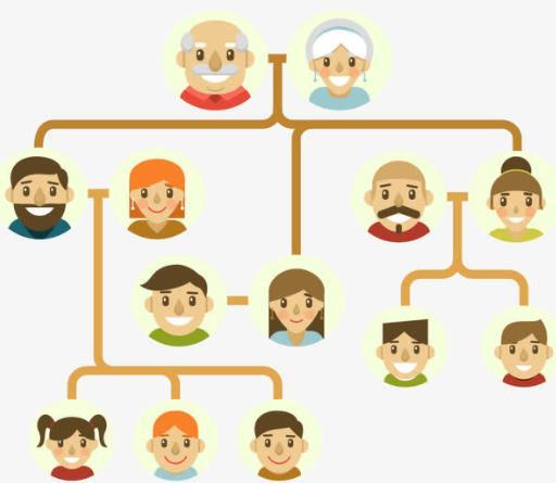 家庭关系的正确顺序图,家庭关系重要性排序图解