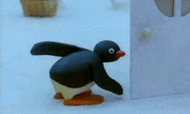 小企鹅彼得gif表情包魔性的企鹅家族pingu很有趣