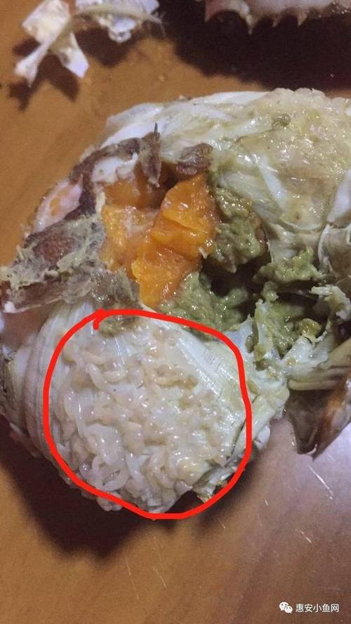 惠安一家庭吃螃蟹吃出"白米饭",这"虫子"到底是什么?来看看!