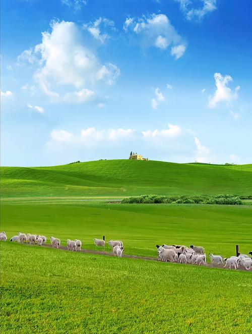 蓝天白云,绿草如茵,绵羊成群,这样的大草原你向往吗?-度小视