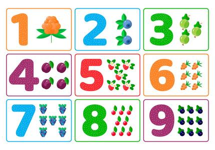 浆果.颜色数字.幼儿园适龄儿童数学研究照片
