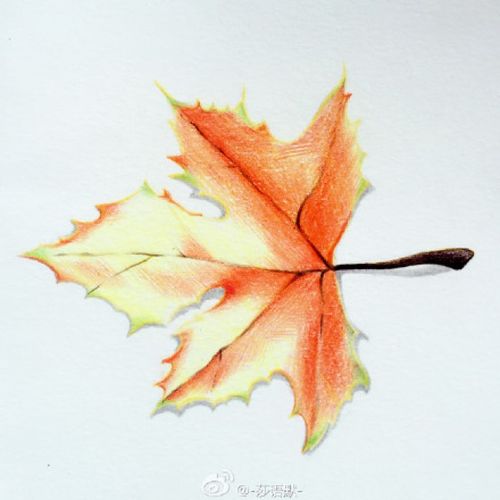 秋天红枫叶的彩铅画教程枫叶手绘步骤图片枫叶怎么画枫叶的画法