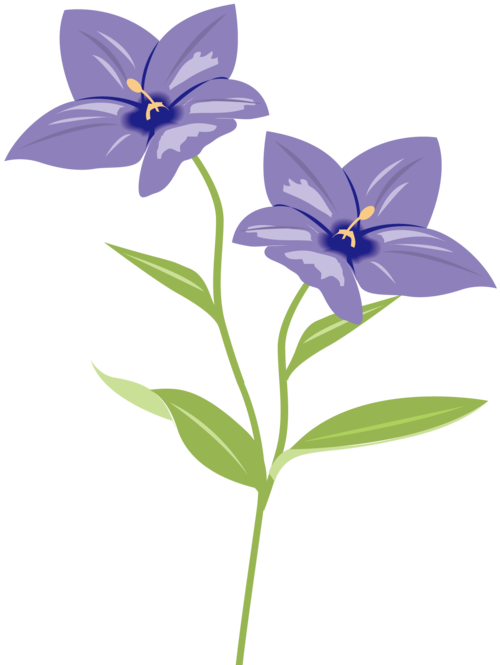 紫色花朵手绘鲜花