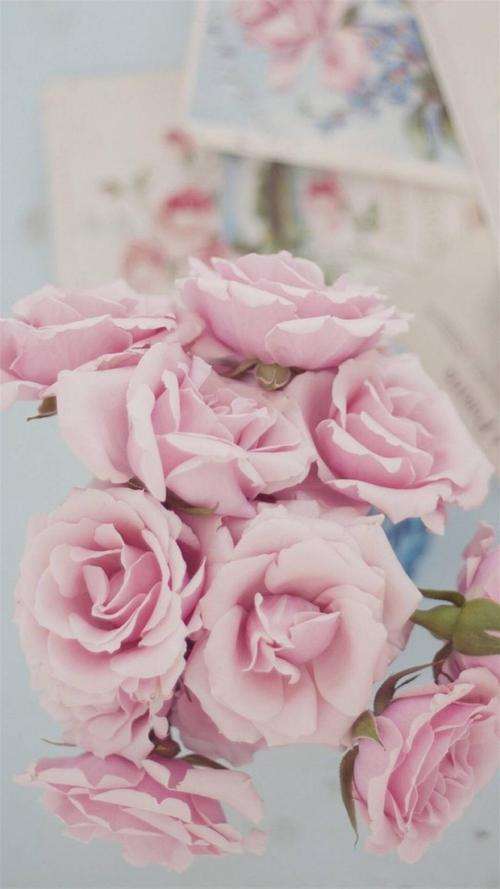 浪漫玫瑰花,高清图片,手机锁屏桌面-壁纸族