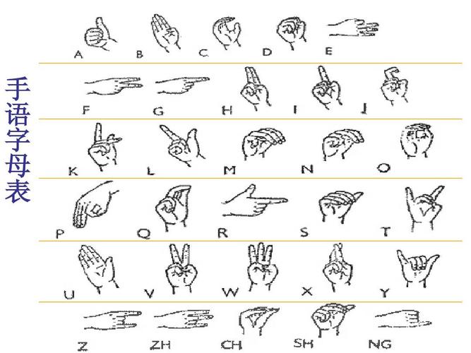 基础的手语相关知识 手 语 字 母 表