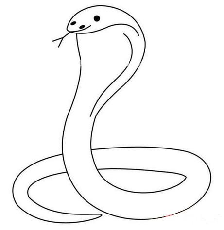 笔画图片眼镜蛇简笔画图片动物简笔画野生动物简笔画眼镜蛇的简单画法