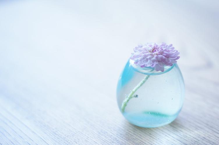 花瓶,水,粉红色的鲜花,简单干净清爽背景图片图片,4k高清风景图片,娟