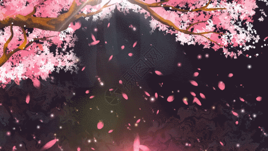 春天樱花树倒影花瓣飘落背景视频元素gif图片素材