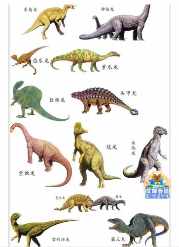 我都知道这么多恐龙的名字,他们长的都不一样.