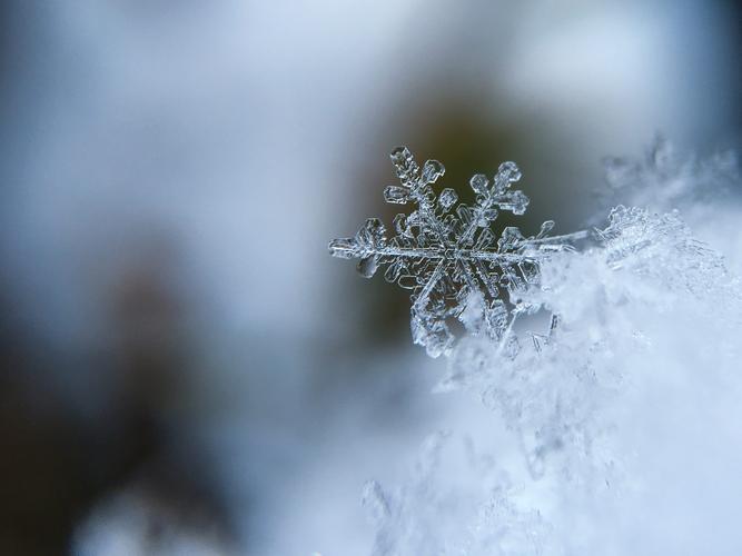 晶莹的雪花图片 第10张 尺寸:3093x2320 (天堂图片网)