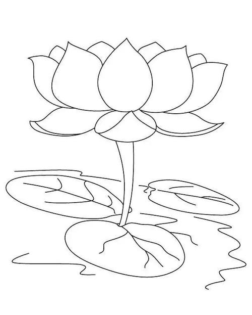 莲花的基础结构画法:从结构到造型教你画,简单易学,一看就会