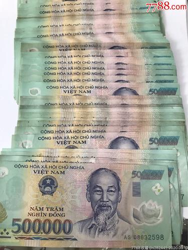 越南50万塑料钞票