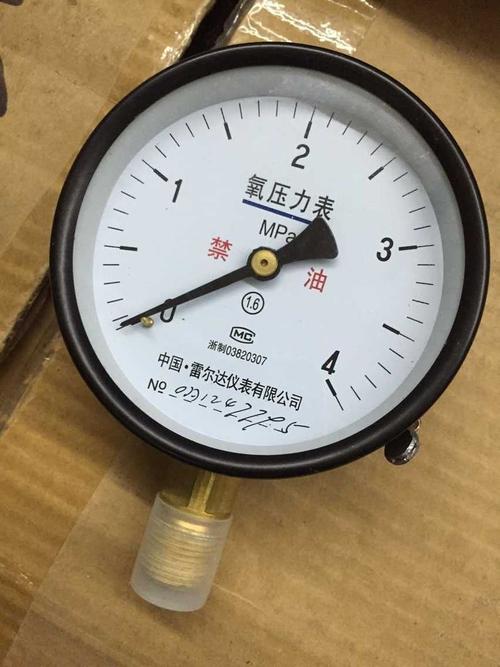中国雷尔达氧气压力表y10025mpa4mpa表盘直径100mm