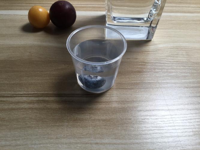 把第一个水果蓝莓轻轻的放入小量杯中,仔细观察水的上升度(20ml～23ml