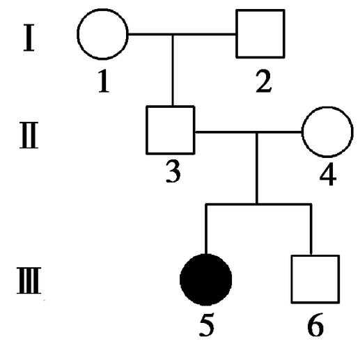 解析 Ⅲ6的遗传因子组成为2/3aa或1/3aa,有病女性的遗传因子组成为aa