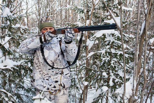 猎人瞄准从一支枪在白雪皑皑的丛林