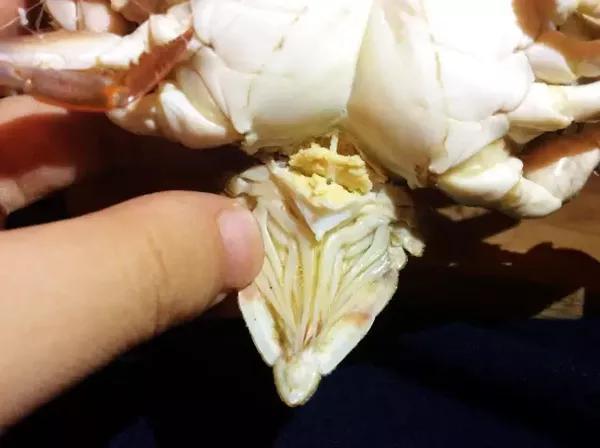 螃蟹应该如何吃,据说80%的人都错了!