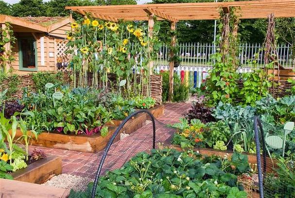可食地景花园式菜园的设计妙招