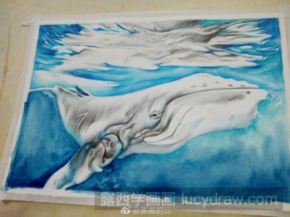 水彩画鲸鱼步骤教程