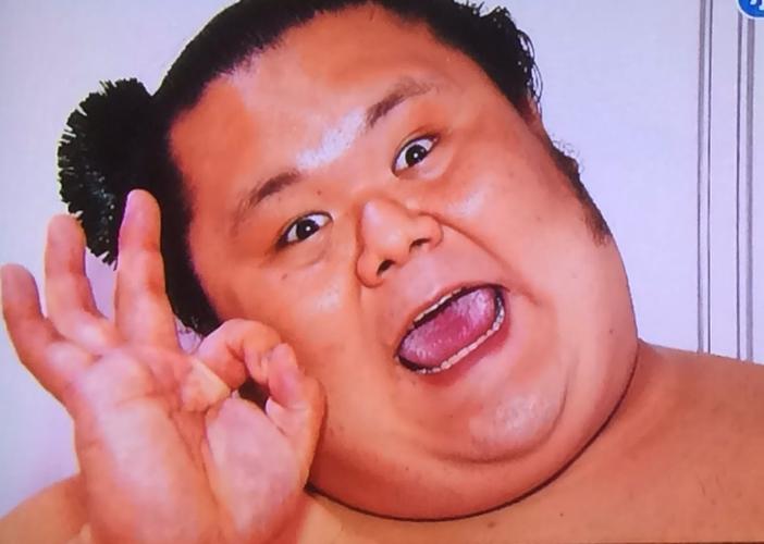 日本的女明星都想嫁给相扑选手,且形体越胖越好,这是为什么呢?
