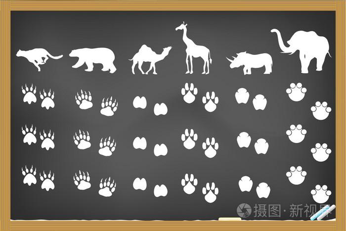 动物的脚印在黑板上插画-正版商用图片033eos-摄图新视界