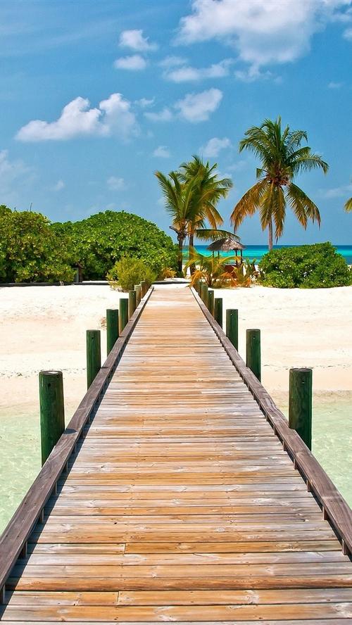 马尔代夫,热带,桥梁,海滩,棕榈树,海