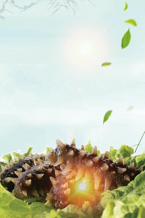 海鲜海参中国墨风格矢量背景元素海报(4795x2433)psdpng中国风食疗