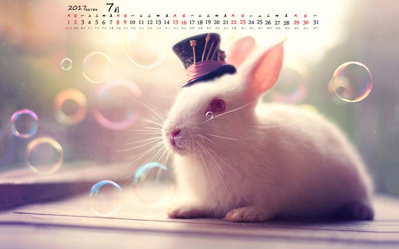 2017年7月可爱萌宠小兔子唯美意境高清日历壁纸