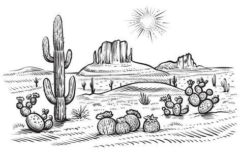 沙漠风景矢量说明和仙人掌的一种和仙人掌属植物balls球照片