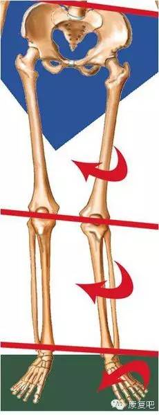 髌骨股骨疼痛症候群超全解析!附康复治疗及预防方法