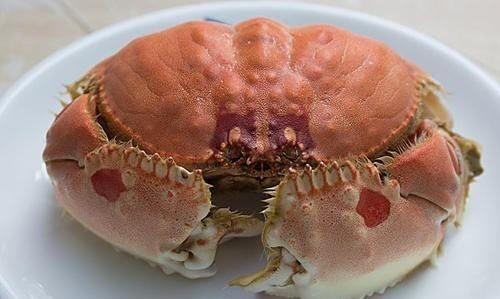 面包蟹有什么营养价值 ,面包蟹需要蒸多久可以吃 - 讯客网