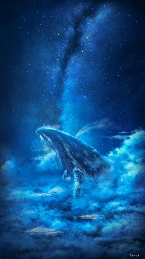 鲸落万物生世间最温柔地死亡