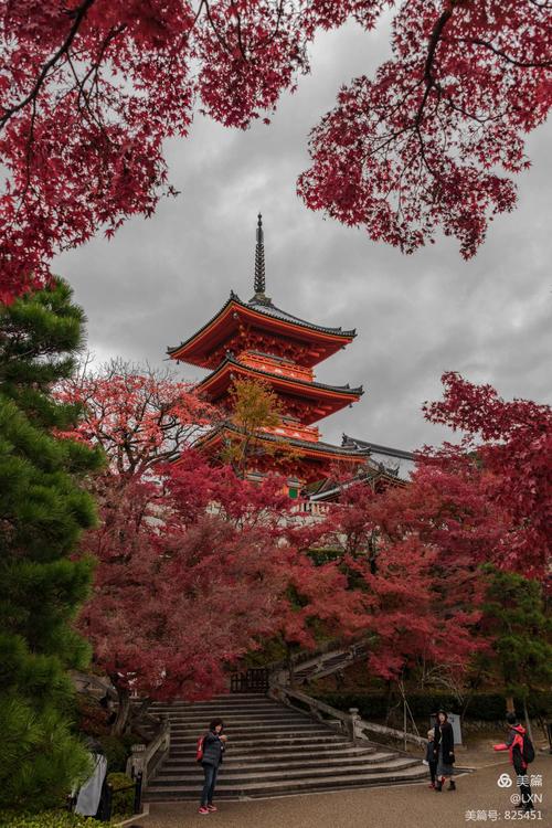 日本国赏秋～京都清水寺(6)