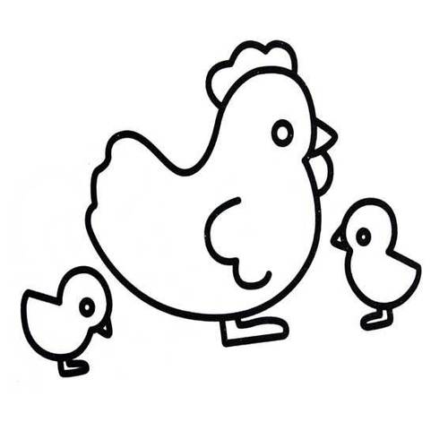 画鸡的图片画鸡的图片简笔画