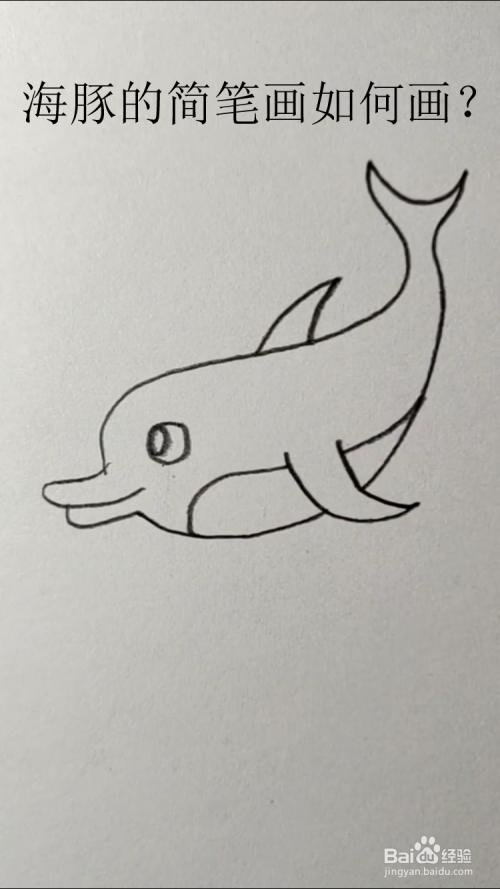 海豚的简笔画如何画?