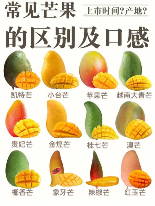 常见的芒果种类