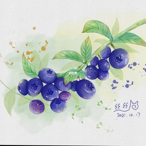 周末小画水彩蓝莓