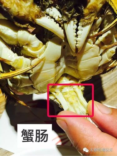 中秋节吃螃蟹的那点事,健康吃蟹的正确打开方式在这里!