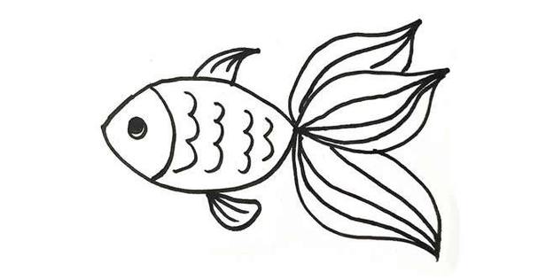 零基础学画18种不同卡通画鱼,简单实用 动物-第5张