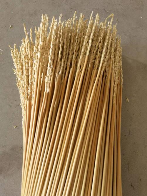 麦秸秆 麦秆 小麦秸杆 大麦秸秆草辩原材料麦秆麦杆 浅黄色-60 60cm