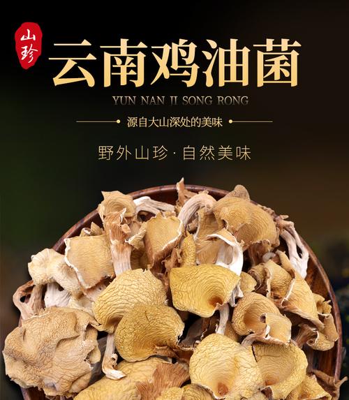 鸡油菌干货500g云南土特产菌菇包山珍蘑菇煲汤材料黄丝菌 500g【图片