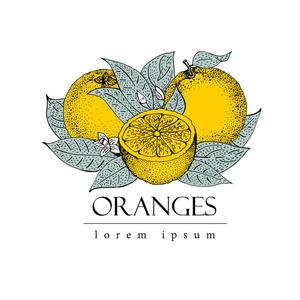 水果logo图片-水果logo素材-水果logo插画-摄图新视界