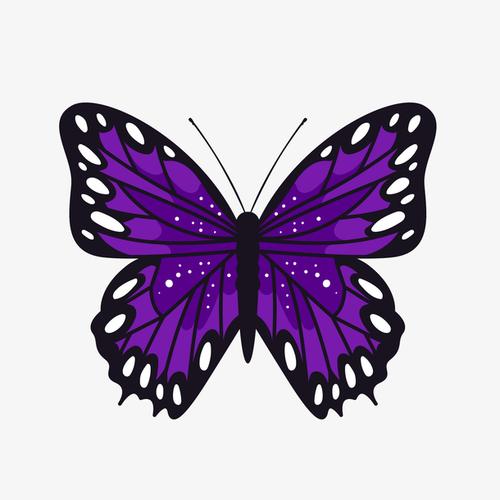 美丽紫色蝴蝶矢量图