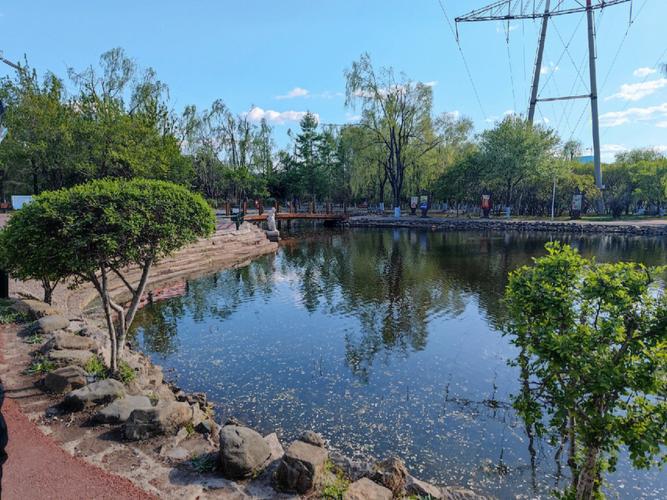 哈尔滨的公园陆续开放了限流扫码进入